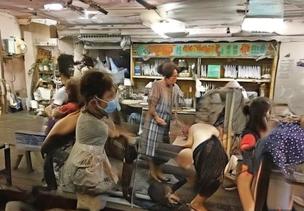 范戴克：从荷兰小镇到世界足坛标杆的成长之路